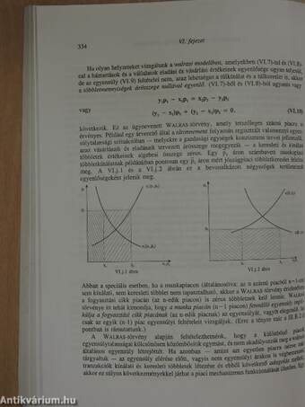 A mikroökonómiai elmélet alapvonásai