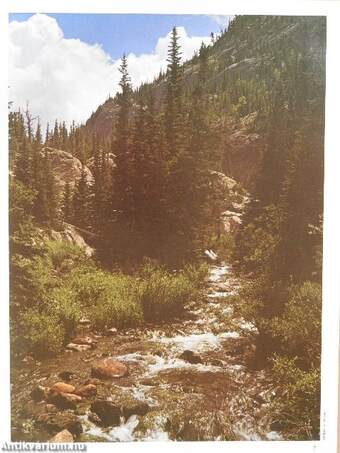 Photographic and Comprehensive Guide to Rocky Mountain & Mesa Verde National Parks