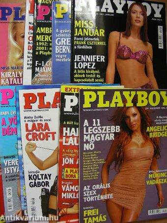 Playboy 2001. (nem teljes évfolyam)