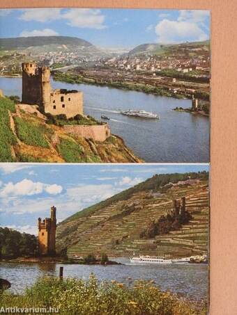 Castles on the River Rhein between Mainz and Cologne