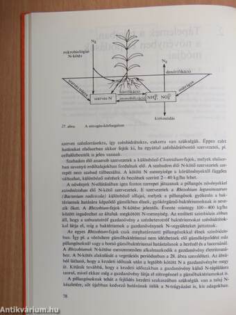 Alkalmazott kémia