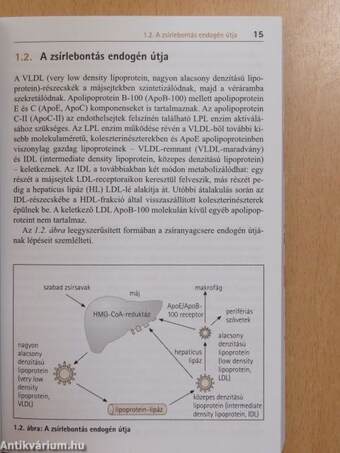 Dyslipidaemiák