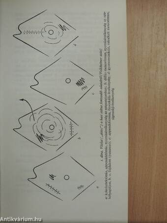 Az emésztőszervek diagnosztikája