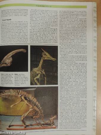 The Illustrated Encyclopedia of Dinosaurs