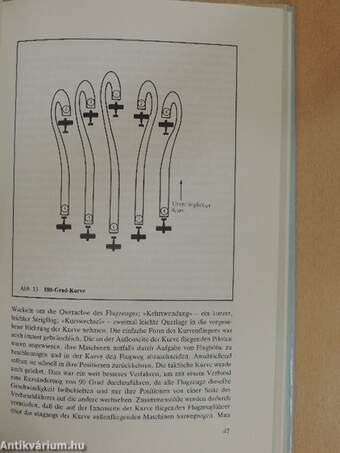 Taktik und Technik im Luftkampf