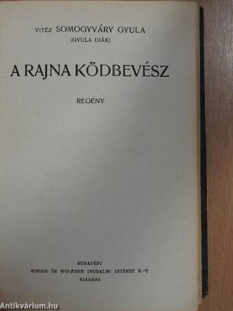 A Rajna ködbevész