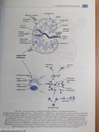 Immunbiológia