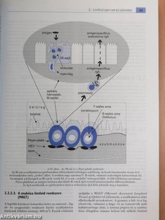 Immunbiológia