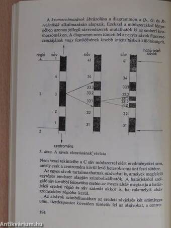 A biológia aktuális problémái 8. (dedikált példány)