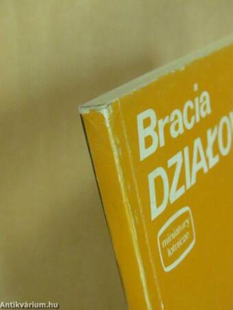 Bracia Dzialowscy