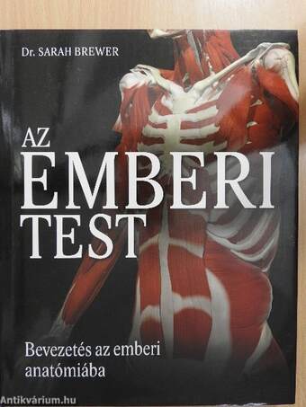 Az emberi test