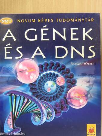 A gének és a DNS