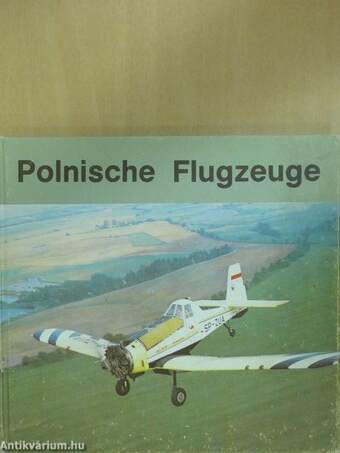 Polnische Flugzeuge