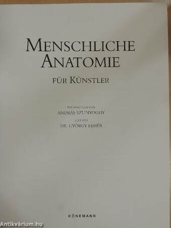 Menschliche Anatomie für Künstler