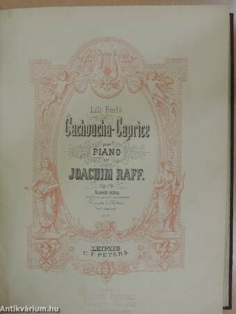 Études d'exécution transcendante pour piano seul I./Abegg-Variationen, Papillons/Erste Peer Gynt-Suite/Cachoucha-Caprice pour Piano