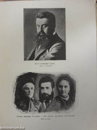 Herzl (rossz állapotú)