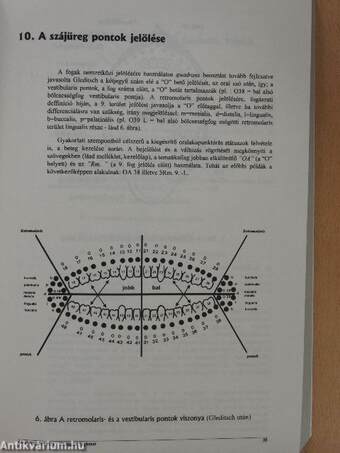 Oralakupunktúra - Biológiai fogászat