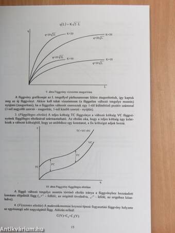 Hogyan segíti a matematika a közgazdaságtan megértését?