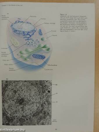 Six Sample Chapters from Biochemistry