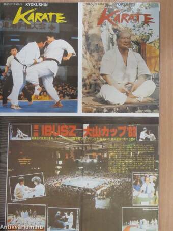 Kyokushinkai karate