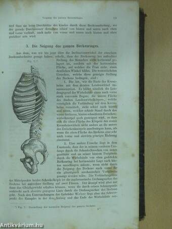 Lehrbuch der geburtshilfe 1. (töredék)