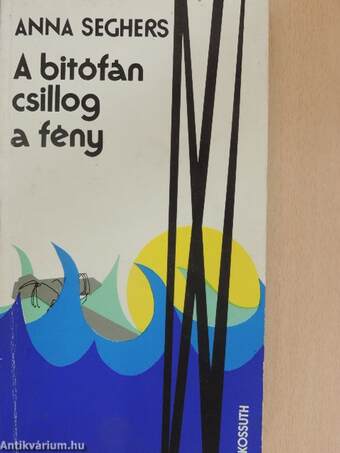 A bitófán csillog a fény