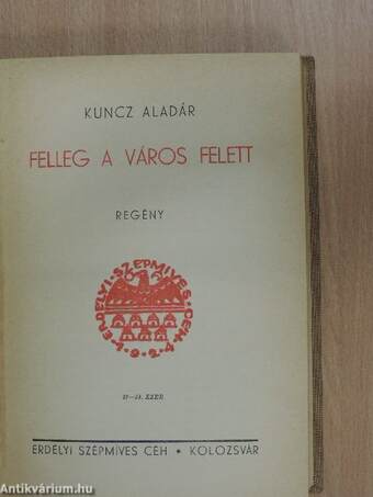 Felleg a város felett