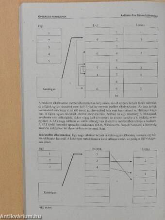 Hálózatok, adatbázis-kezelés és operációs rendszerek