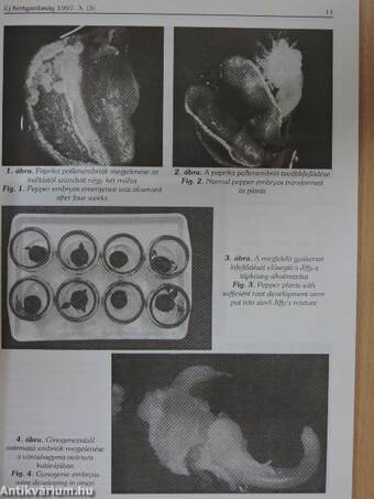 Új kertgazdaság 1997/3