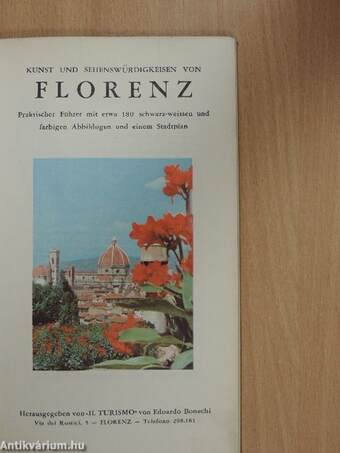 Kunst und Sehenswürdigkeiten von Florenz