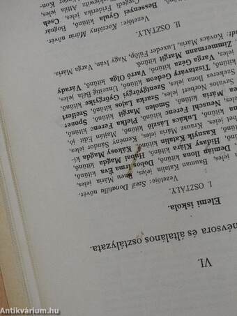 A Budapesti Salvator-Intézet értesítője az 1930-31. tanévről