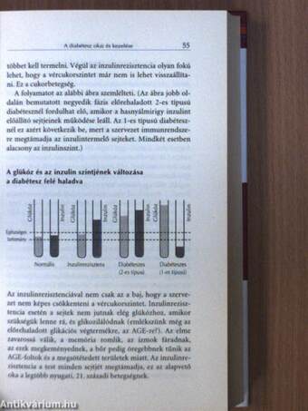 Mondj nemet a cukorbetegségre!