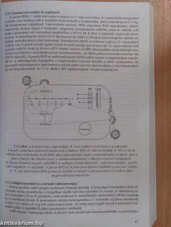 Orvosi molekuláris virológia