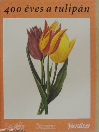 400 éves a tulipán