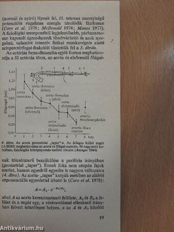 Az érfal biomechanikája