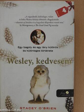 Wesley, kedvesem