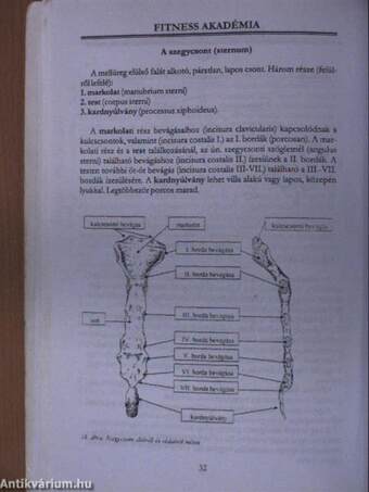 Sportegészségügy