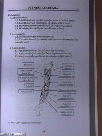 Sportegészségügy