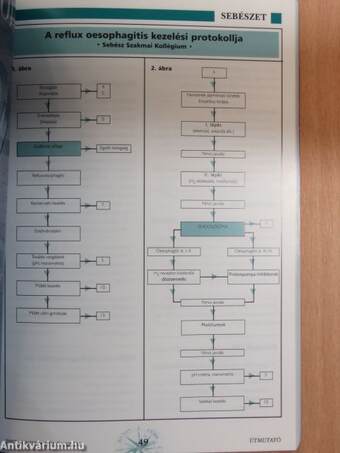 Sebészeti útmutató 2002. június