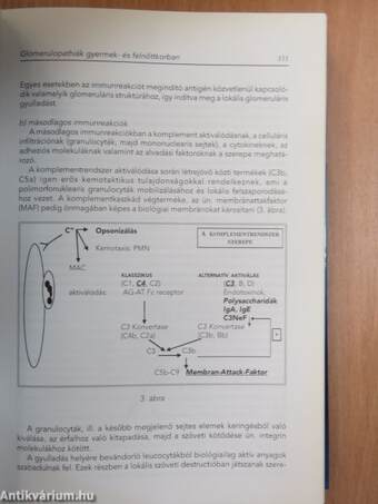 Nephrologia 1999