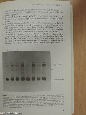 Protein function