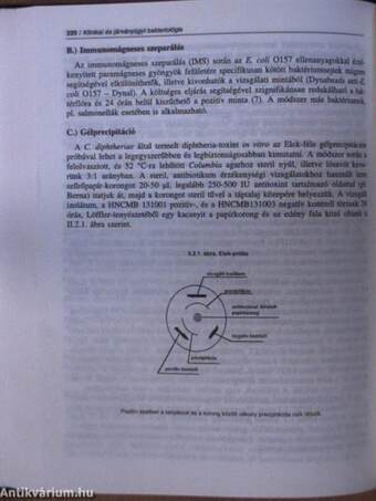 Klinikai és járványügyi bakteriológia