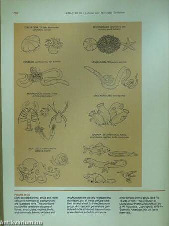 Molecular Cell Biology