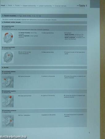 Sobotta - Atlas of Human Anatomy