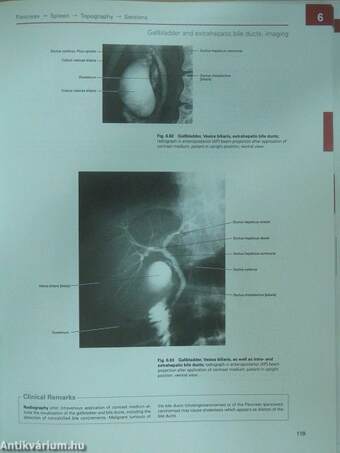 Sobotta - Atlas of Human Anatomy II.