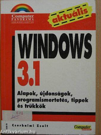 Windows 3.1