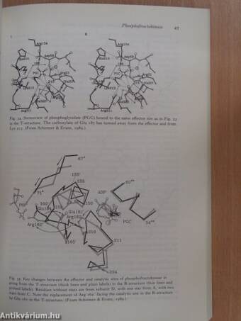 Mechanisms of cooperativity and allosteric regulation in proteins