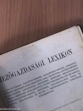 Mezőgazdasági Lexikon II. (töredék)