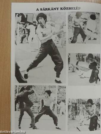 Bruce Lee emlékére