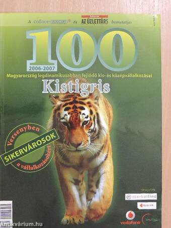 100 kistigris 2006-2007